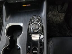 
										RZ 450E full									